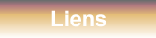 bouton_liens_clair.png